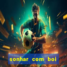 sonhar com boi jogo do bicho